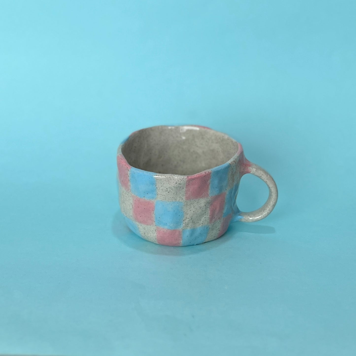 Speckle Check Mug