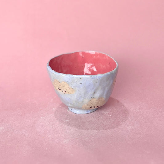 Cloudy Sky Bowl