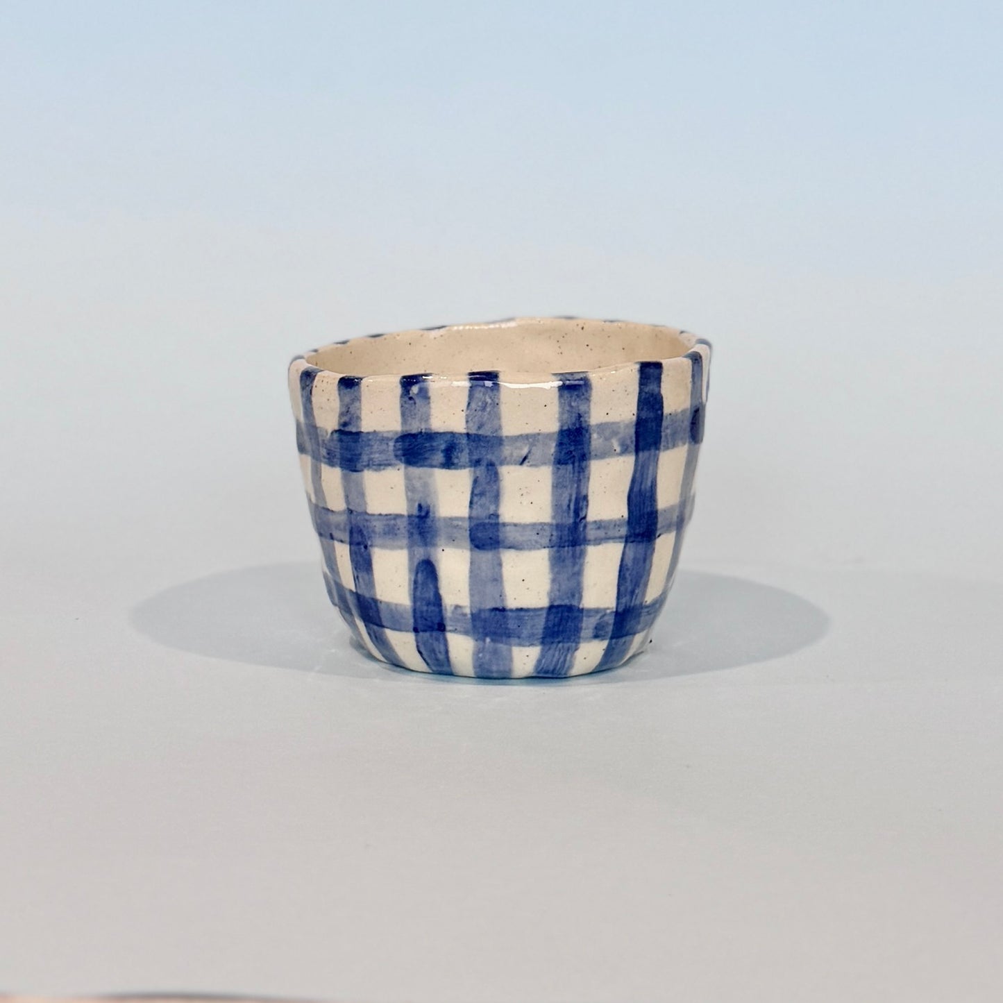 Navy Gingham Mug