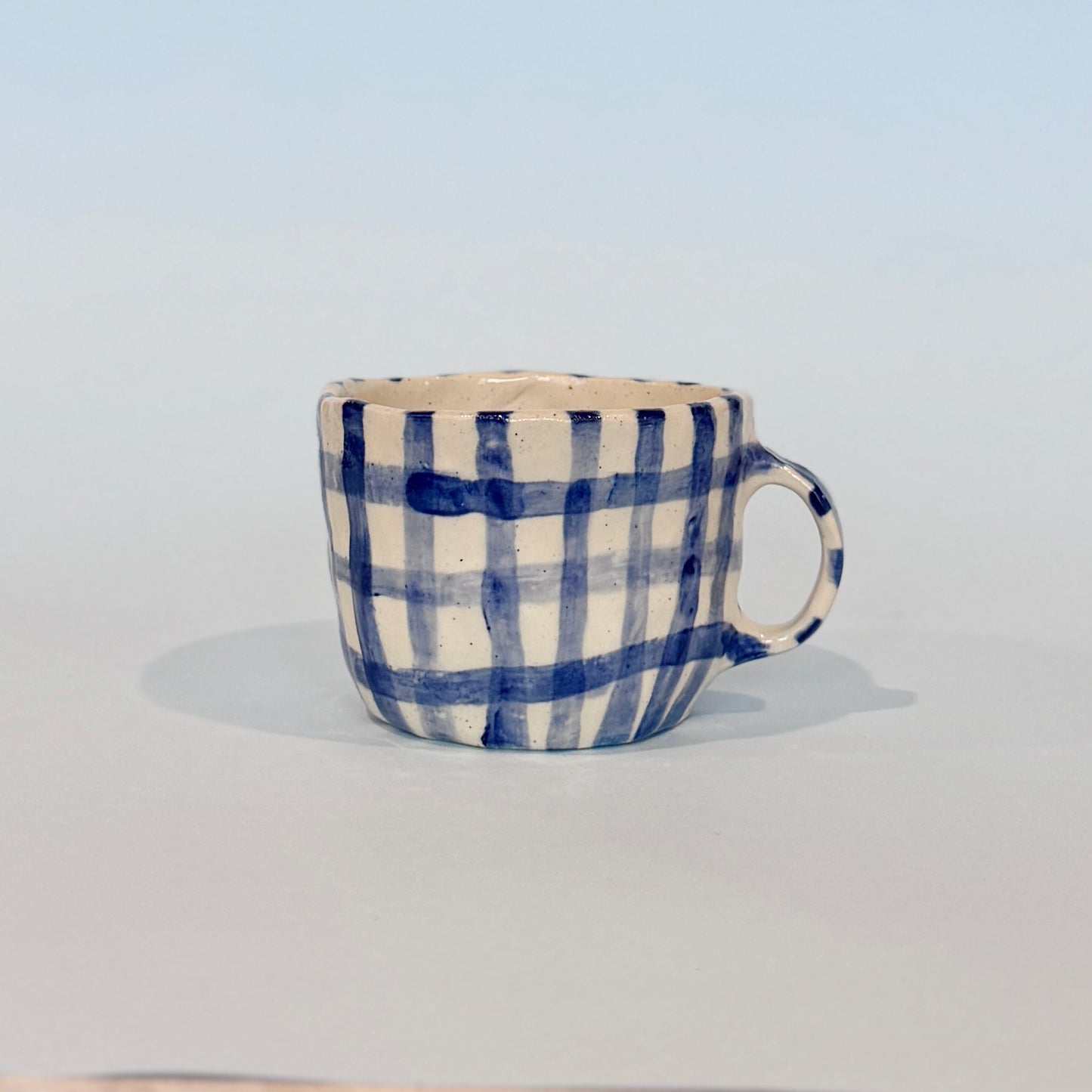 Navy Gingham Mug