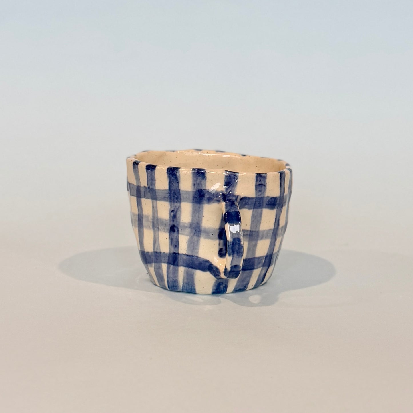 Navy Gingham Mug